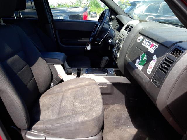 Photo 5 from auction – 2009 FORD ESCAPE XLT with VIN 1FMCU03789KA03686