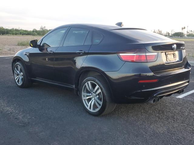 Photo 3 from auction – 2010 BMW X6 M with VIN 5YMGZ0C53ALK13558