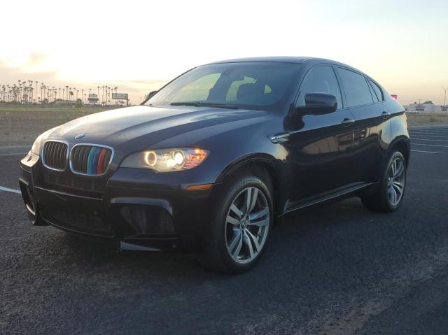 Photo 2 from auction – 2010 BMW X6 M with VIN 5YMGZ0C53ALK13558