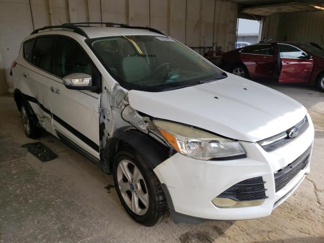 FORD ESCAPE SE 2013 with VIN 1FMCU0GX9DUB85163 - Photo from auction
