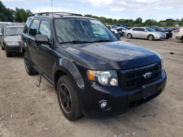 Photo 1 from auction – 2011 FORD ESCAPE XLT with VIN 1FMCU0DGXBKA15844