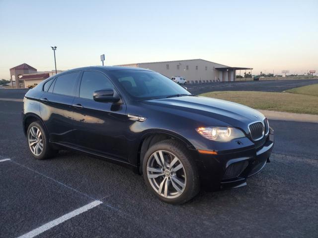 BMW X6 M 2010 with VIN 5YMGZ0C53ALK13558 - Photo from auction