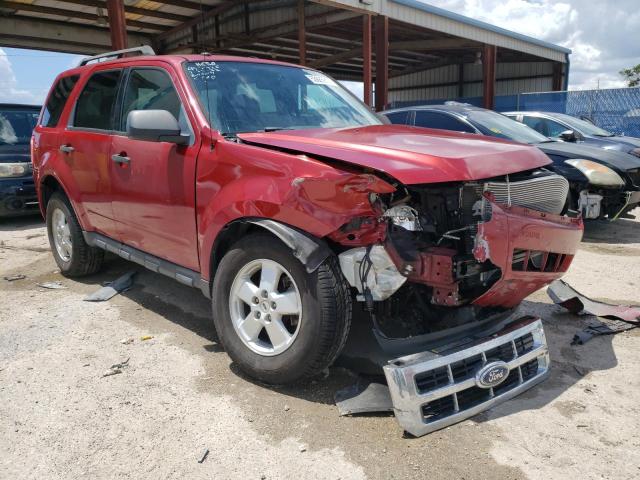 FORD ESCAPE XLT 2011 with VIN 1FMCU0DGXBKB65971 - Photo from auction