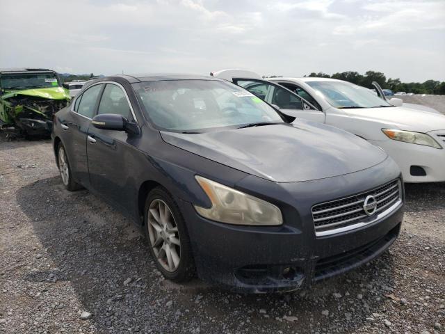 Photo 1 from auction – 2010 NISSAN MAXIMA S with VIN 1N4AA5APXAC811353