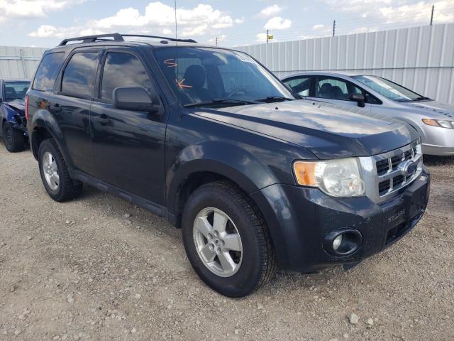FORD ESCAPE XLT 2009 with VIN 1FMCU93759KA04895 - Photo from auction