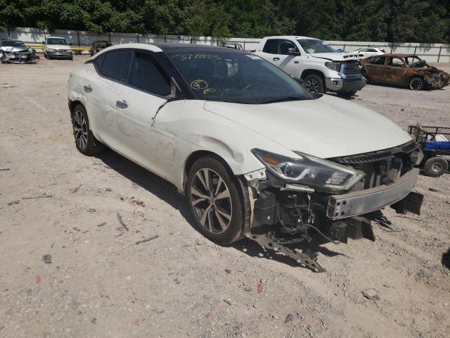 NISSAN MAXIMA 3.5 2017 with VIN 1N4AA6AP1HC377825 - Photo from auction