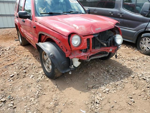 Photo 9 from auction – 2003 JEEP LIBERTY LI with VIN 1J4GL58K83W633155