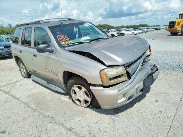 CHEVROLET TRAILBLAZE 2003 with VIN 1GNDT13S432226408 - Photo from auction