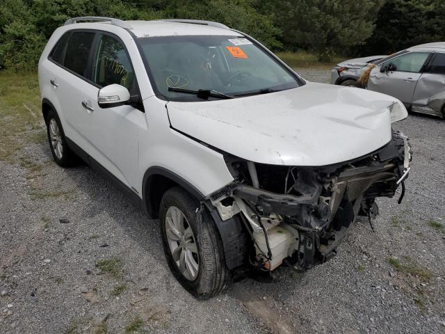 KIA SORENTO BA 2011 with VIN 5XYKTDA21BG092871 - Photo from auction