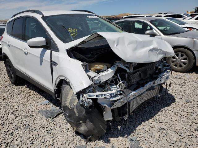 Photo 9 from auction – 2014 FORD ESCAPE SE with VIN 1FMCU9G90EUC31356