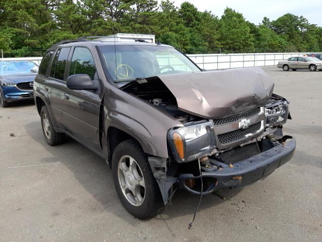Photo 1 from auction – 2008 CHEVROLET TRAILBLAZE with VIN 1GNDS13S682228557