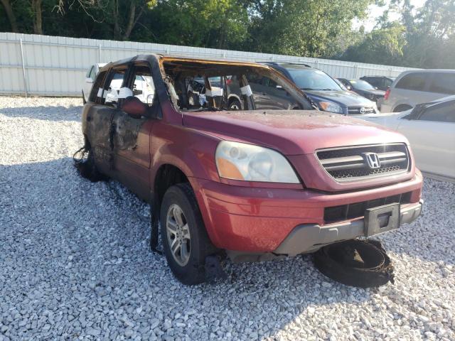 HONDA PILOT EXL 2004 with VIN 2HKYF18624H533198 - Photo from auction