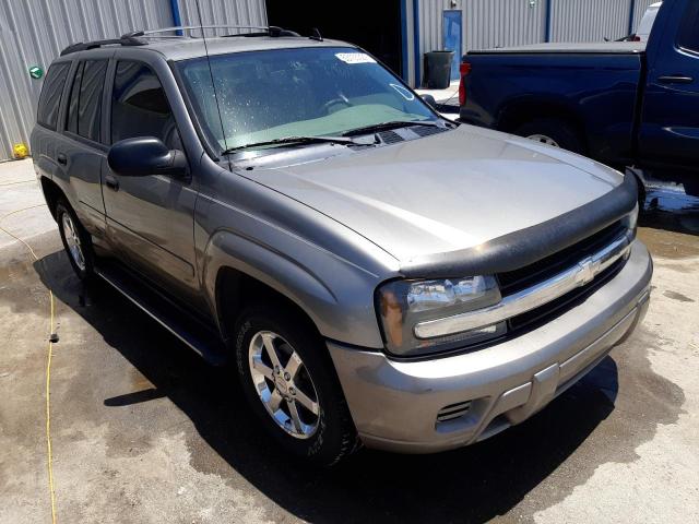 CHEVROLET TRAILBLAZE 2006 with VIN 1GNDS13S762102365 - Photo from auction