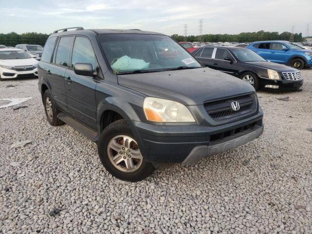 HONDA PILOT EX 2003 with VIN 2HKYF18483H586498 - Photo from auction
