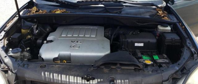 Photo 7 from auction – 2007 LEXUS RX 350 with VIN JTJGK31U070008537