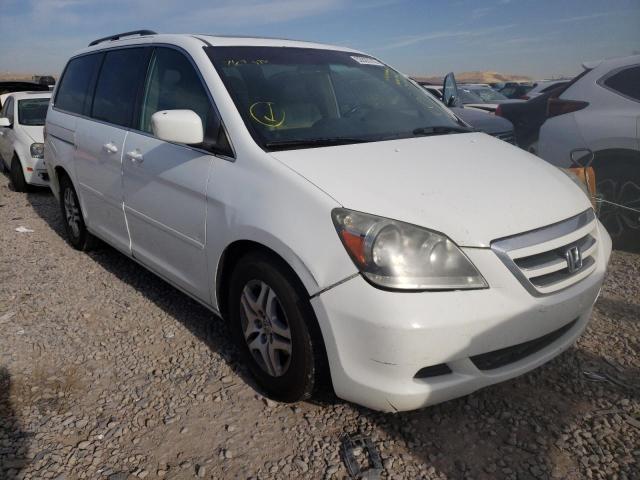 HONDA ODYSSEY EX 2006 with VIN 5FNRL38796B435322 - Photo from auction