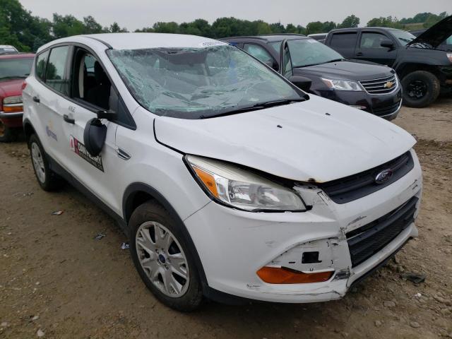 FORD ESCAPE S 2013 with VIN 1FMCU0F71DUD24896 - Photo from auction