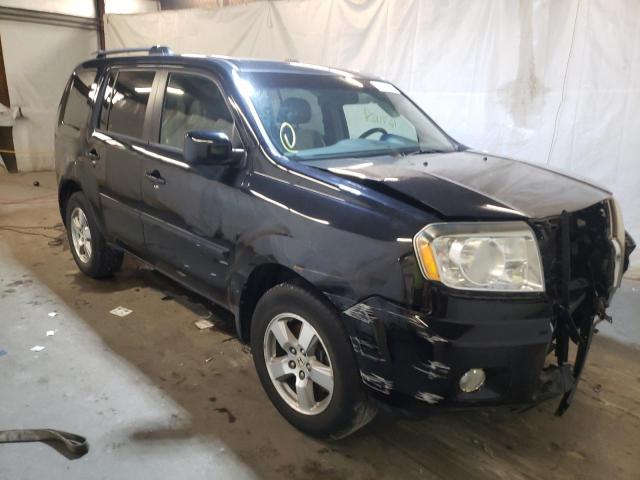 HONDA PILOT EXL 2009 with VIN 5FNYF48649B019490 - Photo from auction