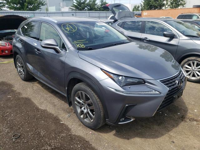 LEXUS NX 300 BAS 2019 with VIN JTJBARBZ5K2199413 - Photo from auction