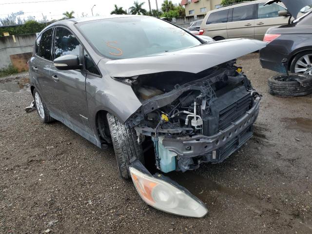 FORD C-MAX SE 2013 with VIN 1FADP5AU8DL543375 - Photo from auction