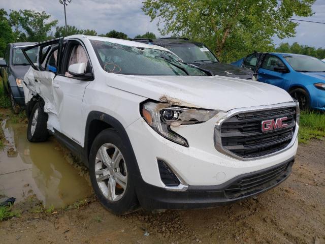 GMC TERRAIN SL 2019 with VIN 3GKALTEV4KL306324 - Photo from auction