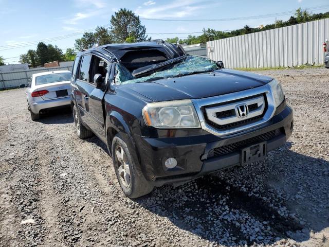 HONDA PILOT EXL 2009 with VIN 5FNYF48599B007696 - Photo from auction
