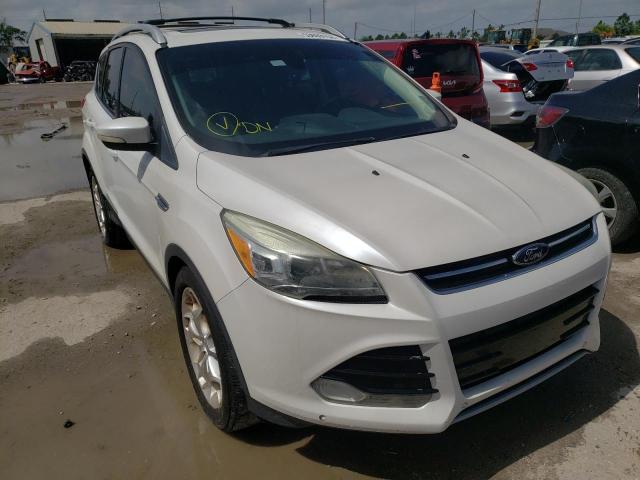 FORD ESCAPE TIT 2013 with VIN 1FMCU0J95DUB50422 - Photo from auction