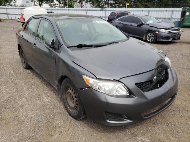 TOYOTA COROLLA BA 2009 with VIN 2T1BU40E99C059941 - Photo from auction