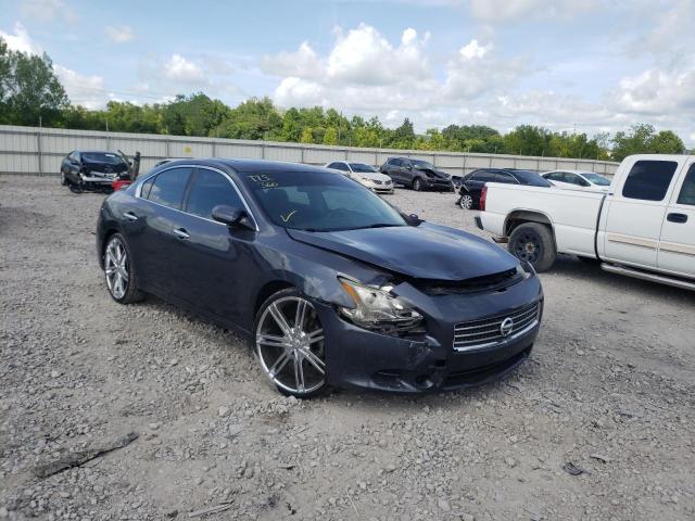 NISSAN MAXIMA S 2010 with VIN 1N4AA5AP4AC831145 - Photo from auction