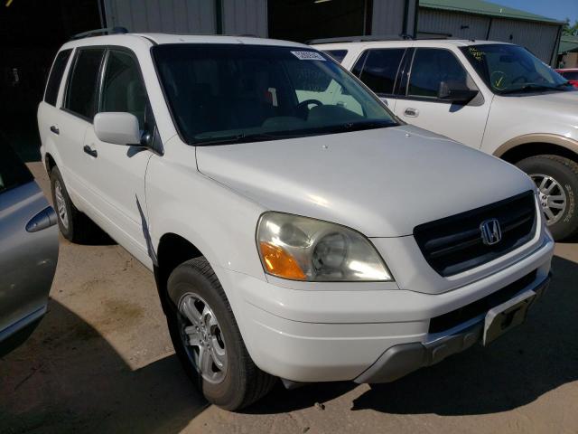 HONDA PILOT EXL 2005 with VIN 5FNYF18645B030756 - Photo from auction