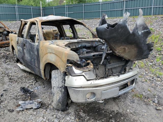 FORD F150 SUPER 2010 with VIN 1FTEW1E88AFC42767 - Photo from auction