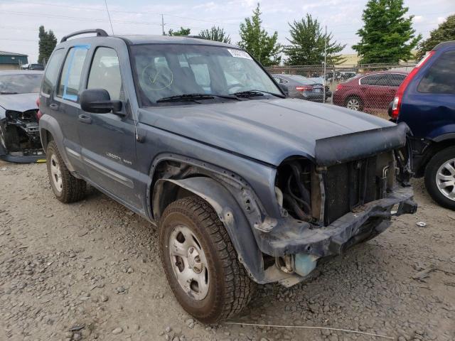 JEEP LIBERTY SP 2002 with VIN 1J4GL48K22W263748 - Photo from auction