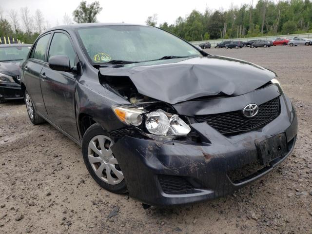 TOYOTA COROLLA BA 2010 with VIN 2T1BU4EE7AC293959 - Photo from auction