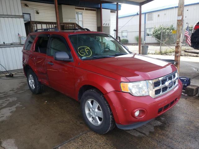 FORD ESCAPE XLT 2011 with VIN 1FMCU9D77BKA47168 - Photo from auction