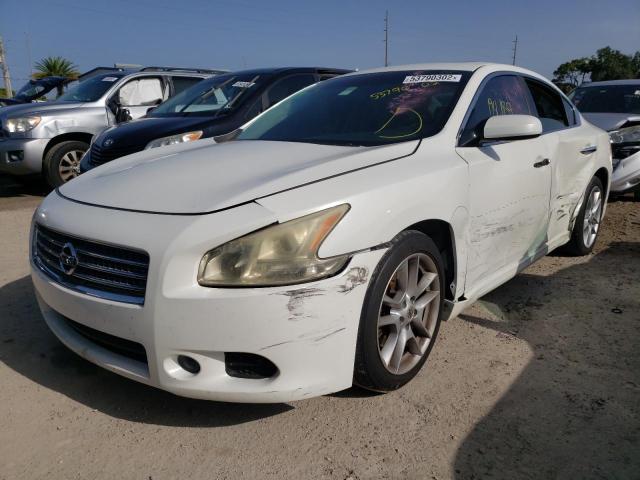 Photo 2 from auction – 2010 NISSAN MAXIMA S with VIN 1N4AA5AP0AC831014