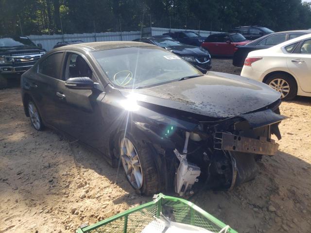 NISSAN MAXIMA S 2009 with VIN 1N4AA51E89C825116 - Photo from auction