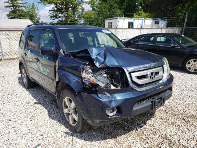 HONDA PILOT EXL 2009 with VIN 5FNYF48539B032352 - Photo from auction