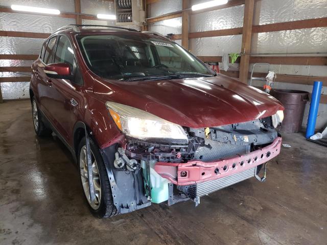 FORD ESCAPE TIT 2014 with VIN 1FMCU0JX3EUB30380 - Photo from auction