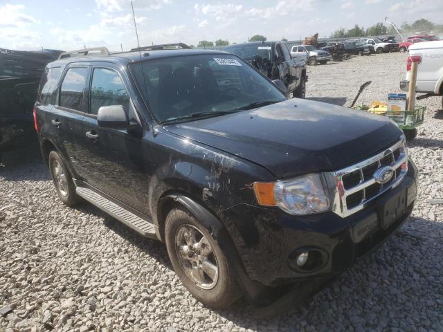 Photo 1 from auction – 2010 FORD ESCAPE XLT with VIN 1FMCU9DGXAKC16761