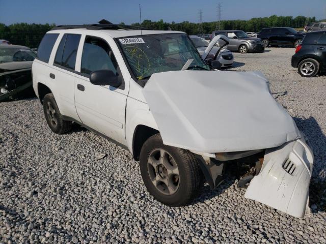 Photo 1 from auction – 2007 CHEVROLET TRAILBLAZE with VIN 1GNDS13S472151962
