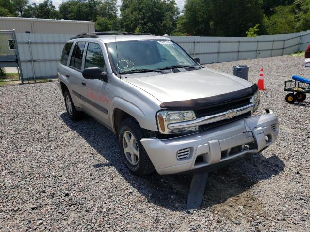 Photo 1 from auction – 2005 CHEVROLET TRAILBLAZE with VIN 1GNDS13S252194760