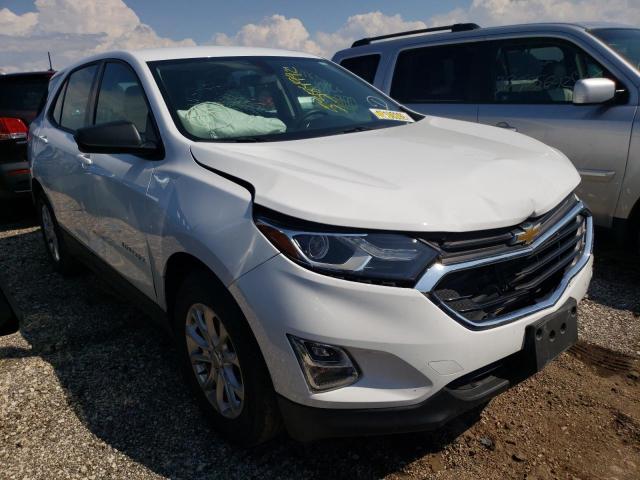 CHEVROLET EQUINOX LS 2019 with VIN 2GNAXHEV8K6227344 - Photo from auction