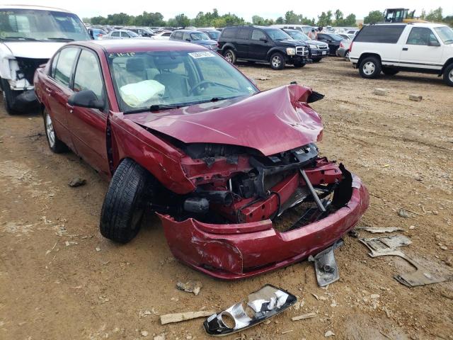 CHEVROLET MALIBU LS 2005 with VIN 1G1ZT54875F220180 - Photo from auction