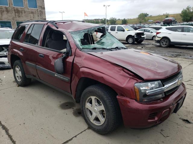 CHEVROLET TRAILBLAZE 2004 with VIN 1GNDT13S042344926 - Photo from auction