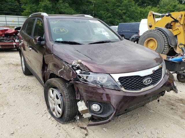 KIA SORENTO LX 2013 with VIN 5XYKTCA67DG319996 - Photo from auction