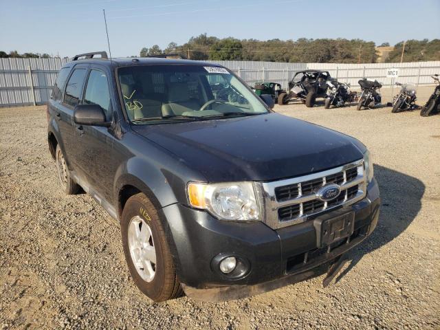 Photo 1 from auction – 2009 FORD ESCAPE XLT with VIN 1FMCU93G19KC79728