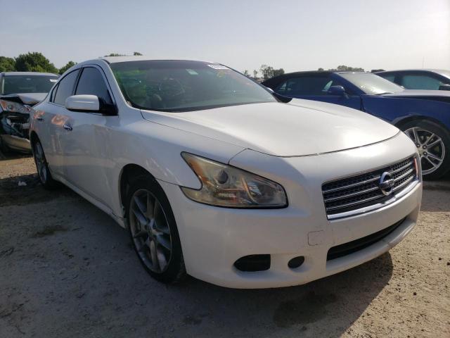 NISSAN MAXIMA S 2010 with VIN 1N4AA5AP0AC831014 - Photo from auction
