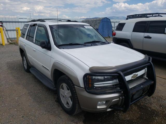 CHEVROLET TRAILBLAZE 2002 with VIN 1GNDT13S022370875 - Photo from auction