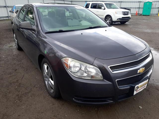 CHEVROLET MALIBU LS 2011 with VIN 1G1ZA5EU7BF311172 - Photo from auction