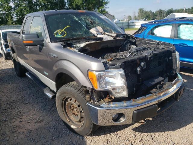 FORD F150 SUPER 2013 with VIN 1FTFX1ET8DFA00913 - Photo from auction